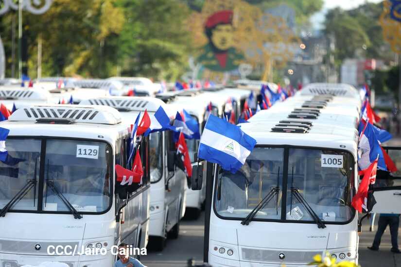 BUSES